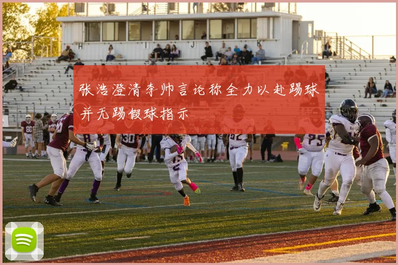 张浩澄清李帅言论称全力以赴踢球并无踢假球指示
