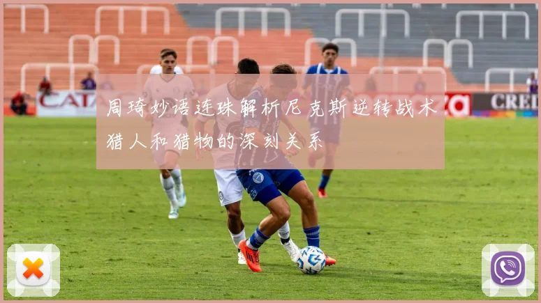周琦妙语连珠解析尼克斯逆转战术猎人和猎物的深刻关系